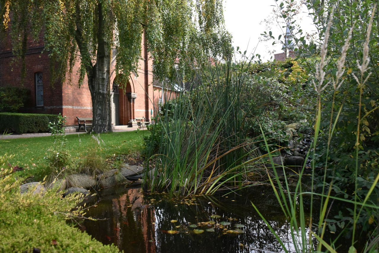 En del af haven på Randers Kloster