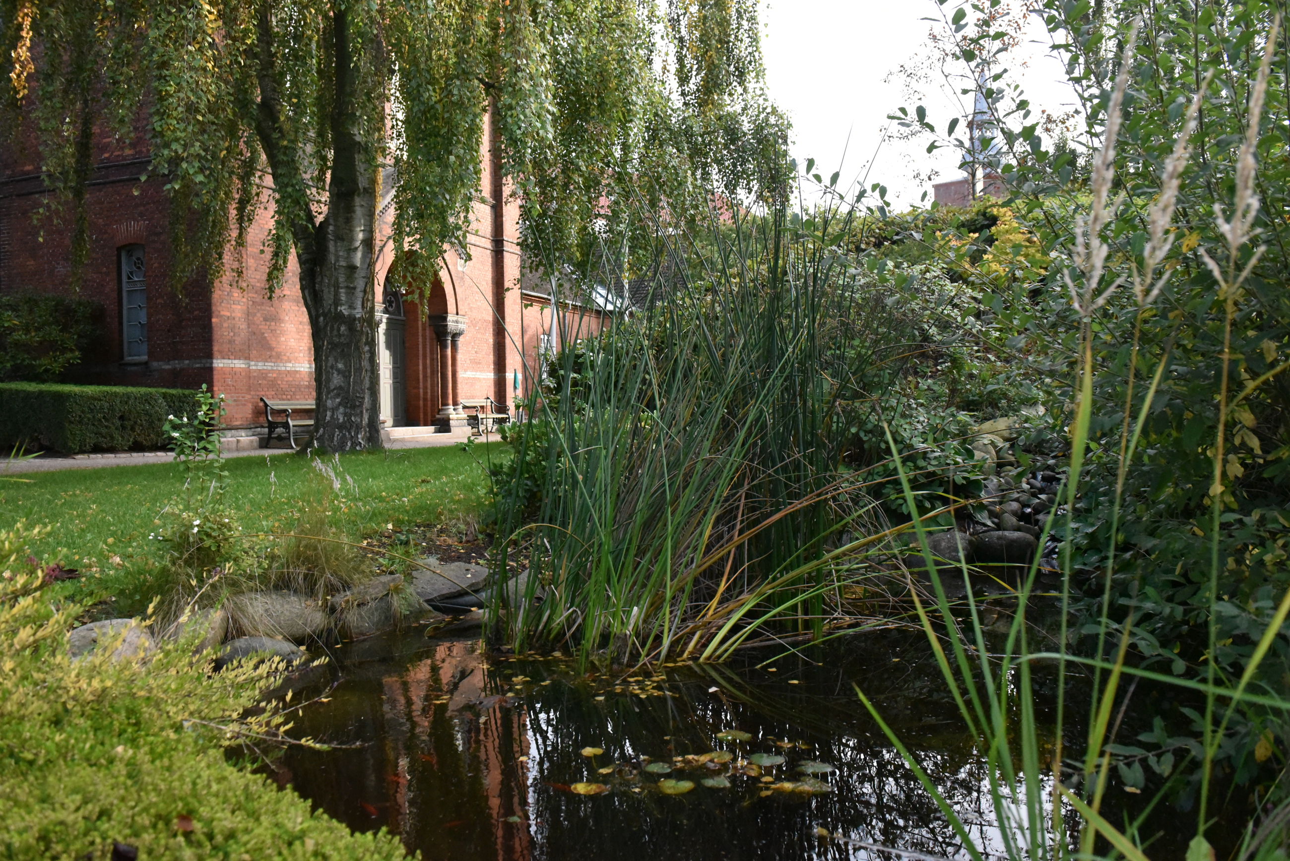 En del af haven på Randers Kloster