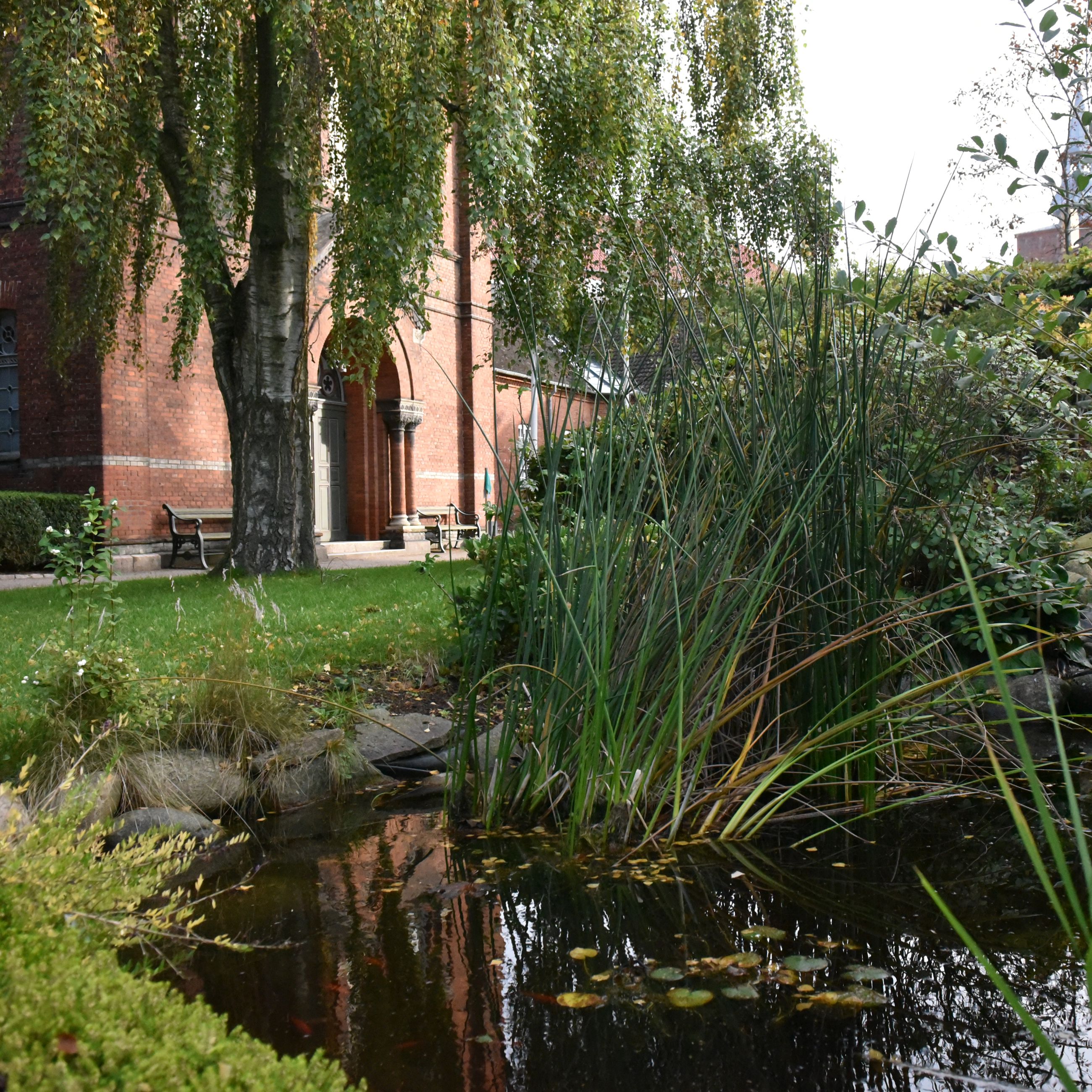 En del af haven på Randers Kloster