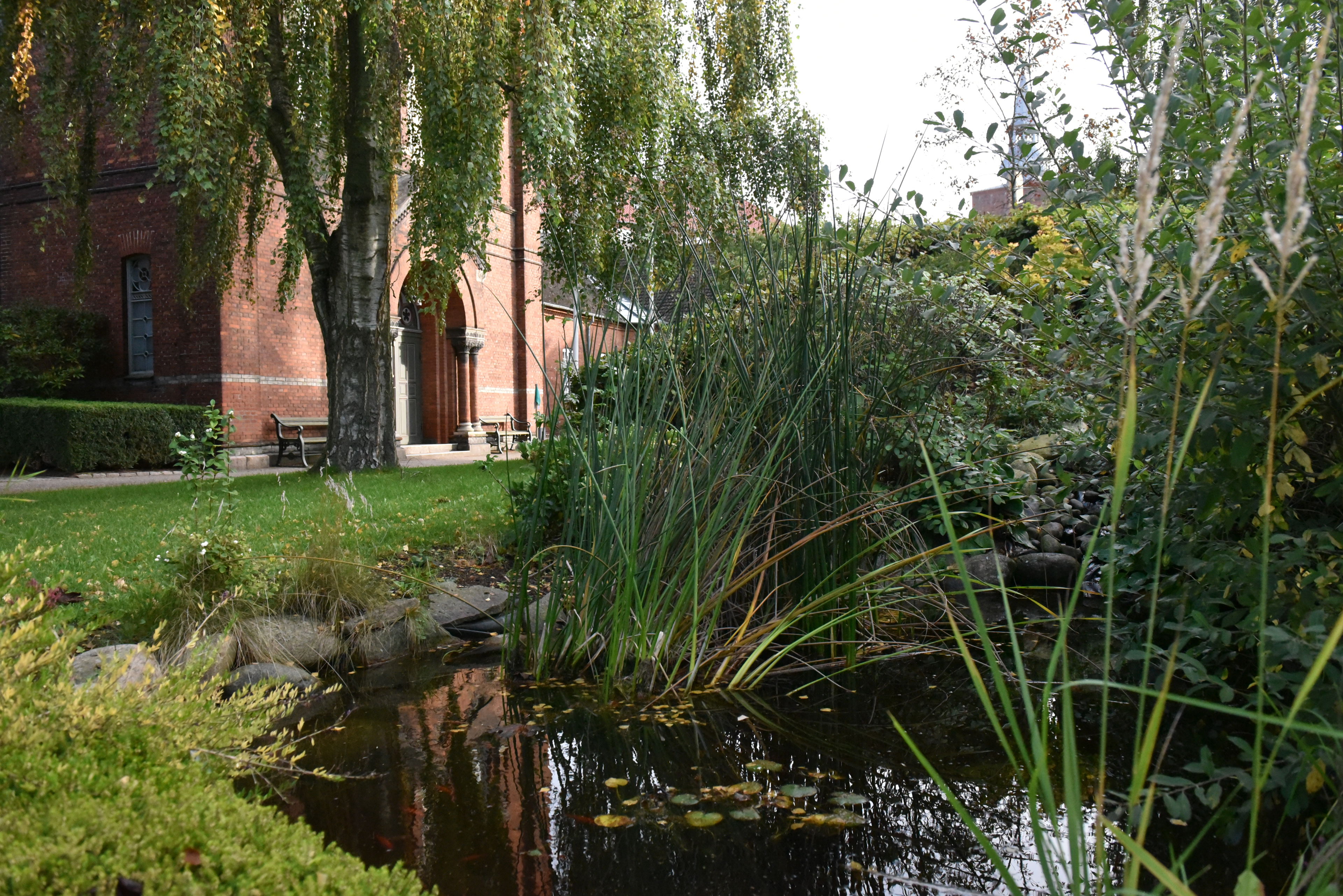 En del af haven på Randers Kloster
